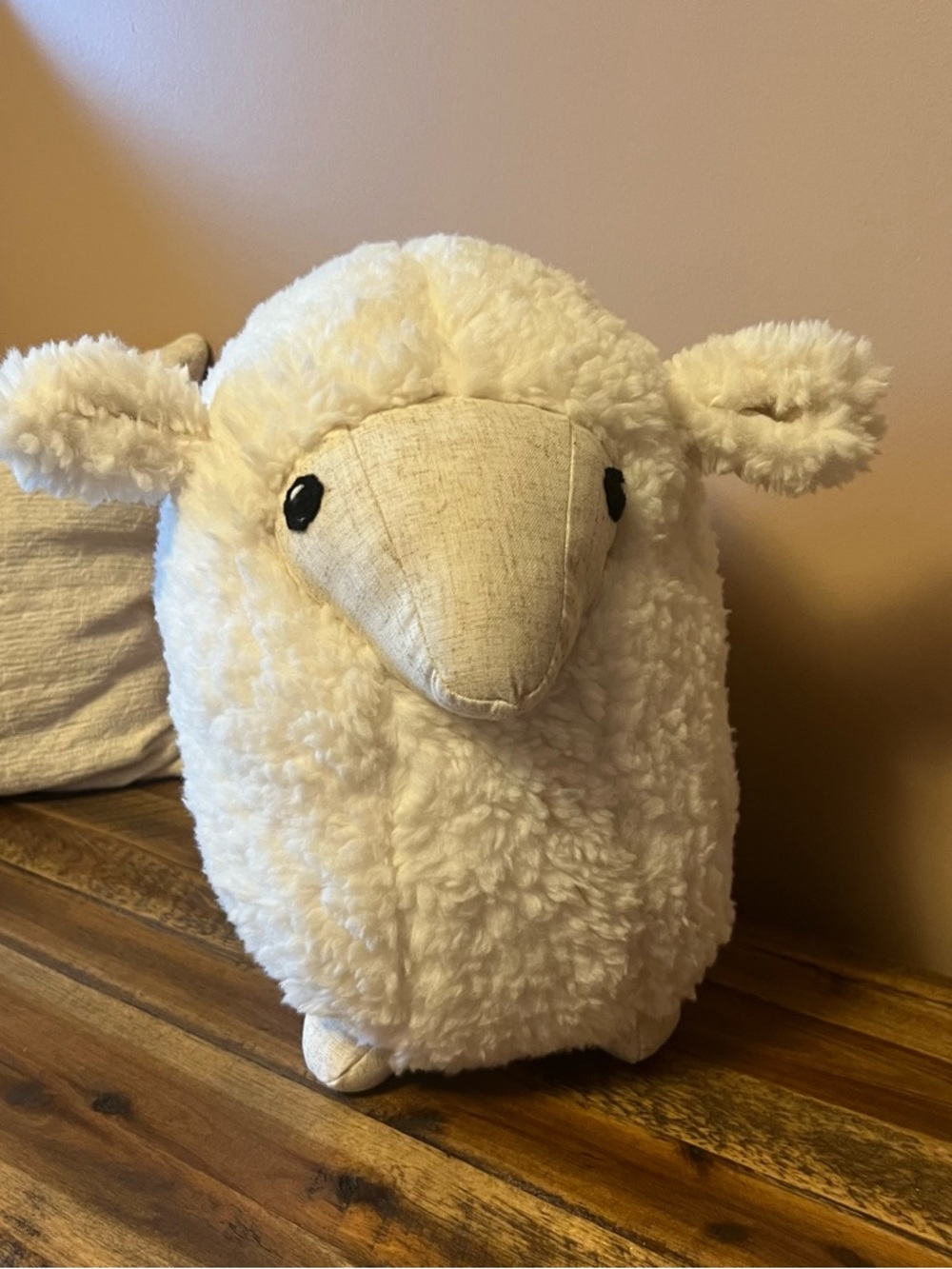 Pottery Barn Cream Plush Sherpa Throw Pillow